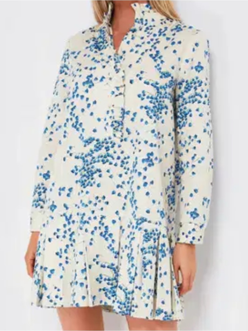 Tuckernuck Cream Long-Sleeve Floral Shift Dress with Blue Print